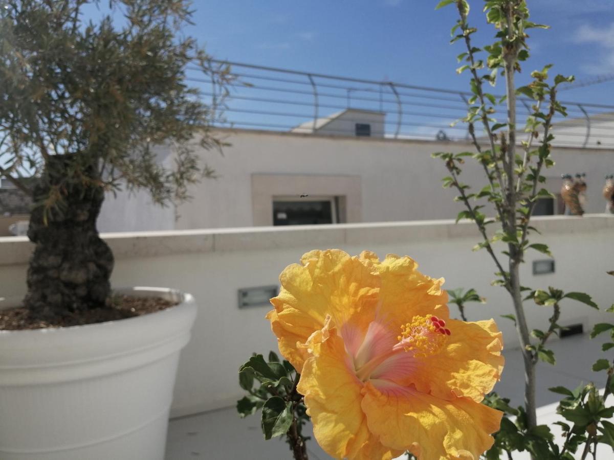 مولفيتا B&B Re Apartments Palazzo Muscati المظهر الخارجي الصورة